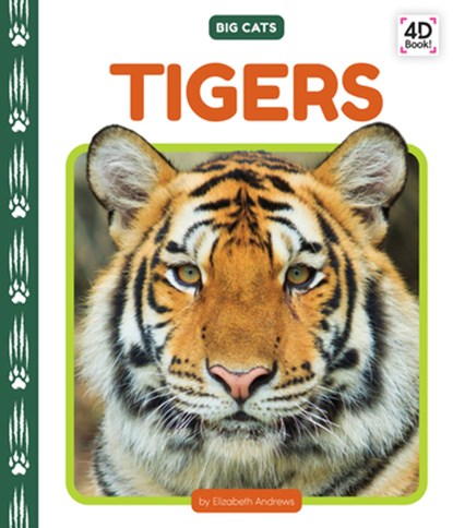 Tigers, Elizabeth Andrews - Gebonden - 9781098246938
