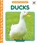 Ducks, Elizabeth Andrews - Gebonden - 9781098248543