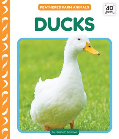 Ducks, Elizabeth Andrews - Gebonden - 9781098248543