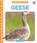 Geese, Elizabeth Andrews - Gebonden - 9781098248550