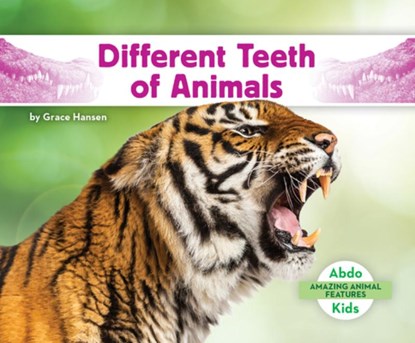 Different Teeth of Animals, Grace Hansen - Gebonden - 9781098266295