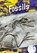 Fossils, Julie Murray - Gebonden - 9781098287153