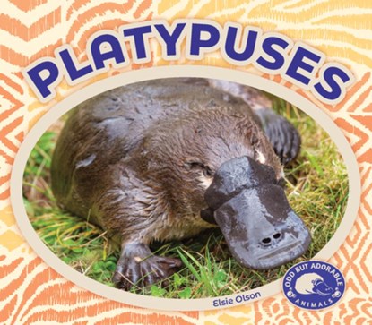Platypuses, Elsie Olson - Gebonden - 9781098295141
