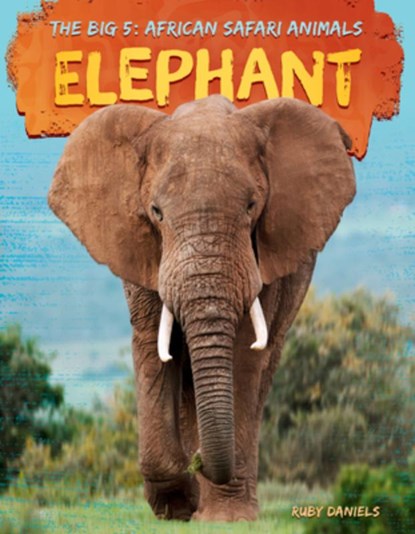 Elephant, Ruby Daniels - Gebonden - 9781098296315