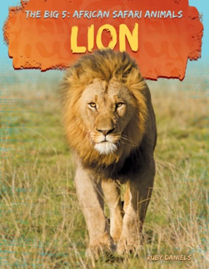 Lion, Ruby Daniels - Gebonden - 9781098296339