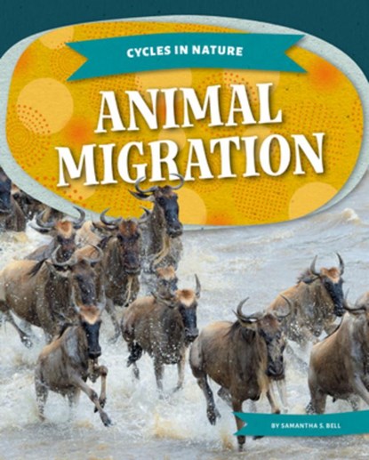Animal Migration, Samantha S. Bell - Gebonden - 9781098298623