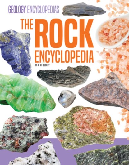 Rock Encyclopedia, A. W. Buckey - Gebonden - 9781098298913