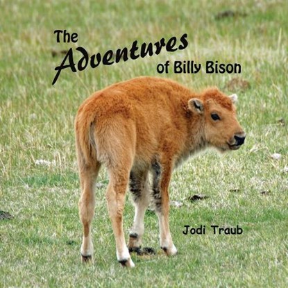 The Adventures of Billy Bison, TRAUB,  Jodi - Paperback - 9781098332198