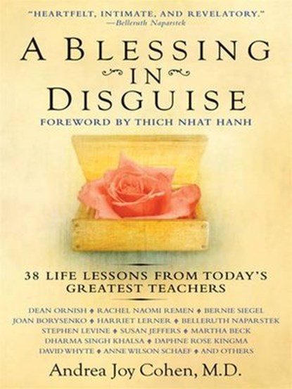 A Blessing in Disguise, Andrea Joy Cohen M.D. - Ebook - 9781101206881