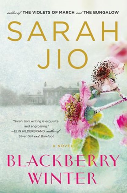 Blackberry Winter, Sarah Jio - Ebook - 9781101603499