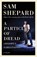 A Particle of Dread, Sam Shepard - Paperback - 9781101974391