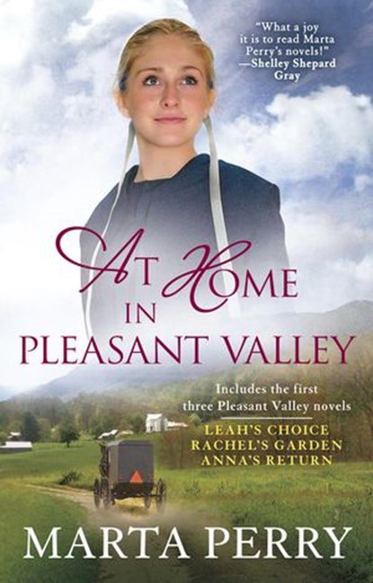At Home in Pleasant Valley, Marta Perry - Ebook - 9781101988985