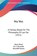 Wu Wei, Henri Borel - Paperback - 9781104533816