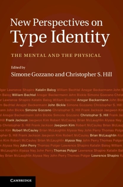 New Perspectives on Type Identity, SIMONE (UNIVERSITA DEGLI STUDI DELL'AQUILA,  Italy) Gozzano ; Christopher S. (Brown University, Rhode Island) Hill - Gebonden - 9781107000148