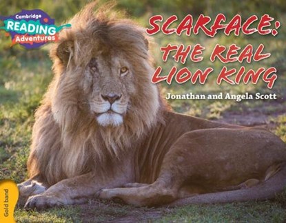 Cambridge Reading Adventures Scarface: The Real Lion King Gold Band, Jonathan and Angela Scott - Paperback - 9781107560475