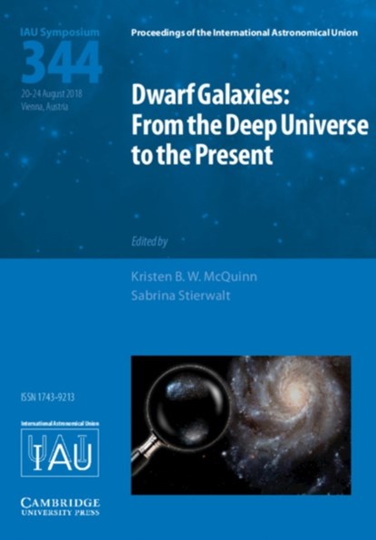 Dwarf Galaxies (IAU S344), KRISTEN B. W. (RUTGERS UNIVERSITY,  New Jersey) McQuinn ; Sabrina (Occidental College, Los Angeles) Stierwalt - Gebonden - 9781108471619