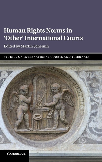 Human Rights Norms in 'Other' International Courts, MARTIN (EUROPEAN UNIVERSITY INSTITUTE,  Florence) Scheinin - Gebonden - 9781108499736