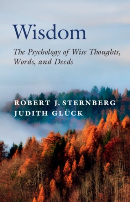 Wisdom, Robert J. (Cornell University Sternberg ; Judith Gluck - Paperback - 9781108841566
