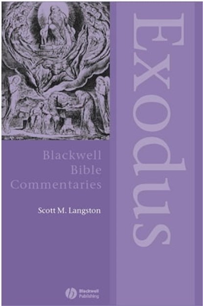 Exodus Through the Centuries, Scott M. Langston - Ebook - 9781118713778