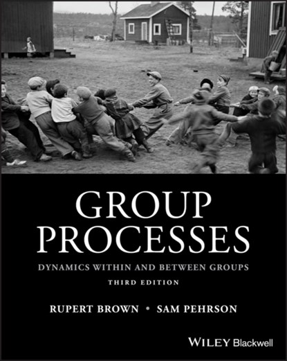 Group Processes, Rupert Brown ; Samuel Pehrson - Paperback - 9781118719299