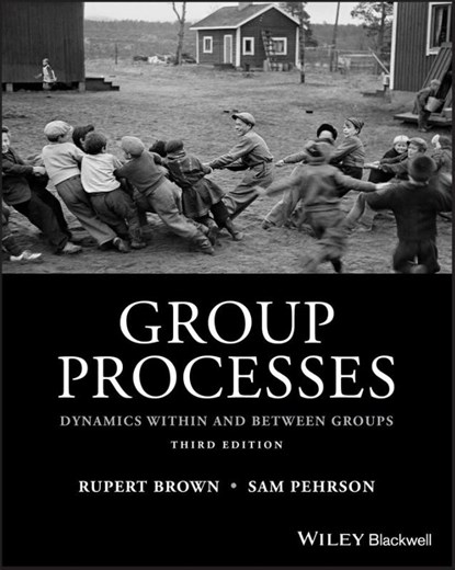 Group Processes, Rupert Brown ; Samuel Pehrson - Paperback - 9781118719299