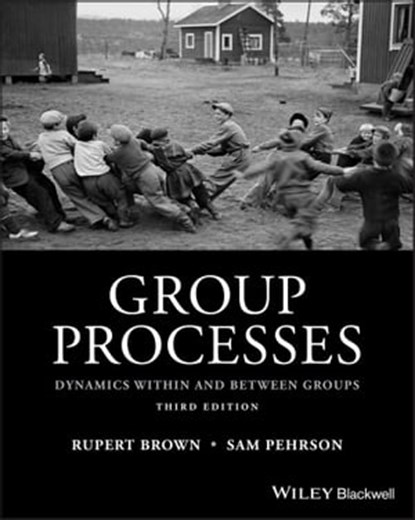 Group Processes, Rupert Brown ; Samuel Pehrson - Ebook - 9781118719312