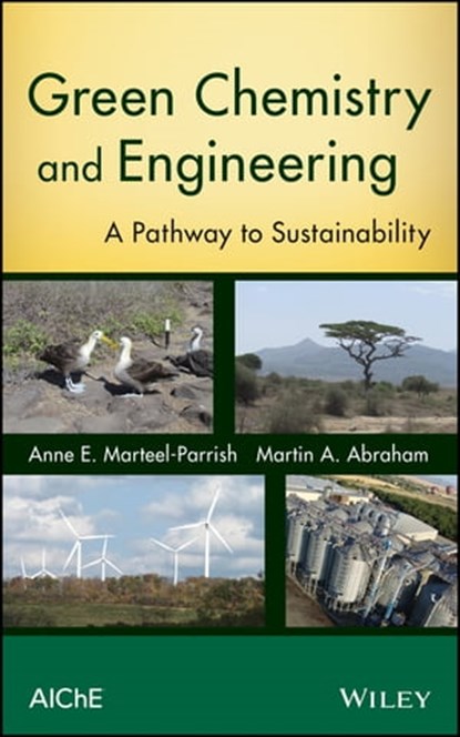 Green Chemistry and Engineering, Anne E. Marteel-Parrish ; Martin A. Abraham - Ebook - 9781118720264