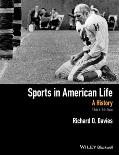 Sports in American Life, Richard O. Davies - Ebook - 9781118912546