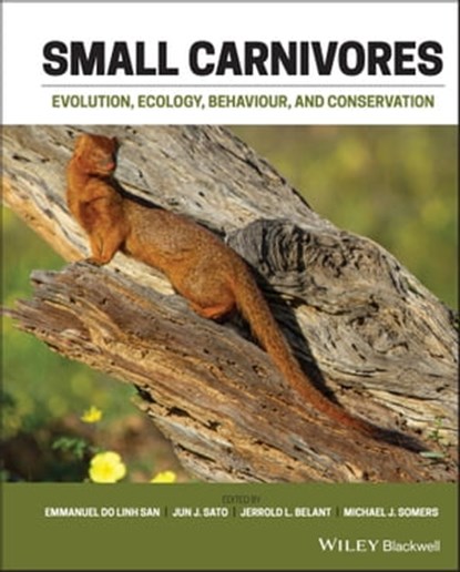 Small Carnivores, Emmanuel Do Linh San ; Jun J. Sato ; Jerrold L. Belant ; Michael J. Somers - Ebook - 9781118943267