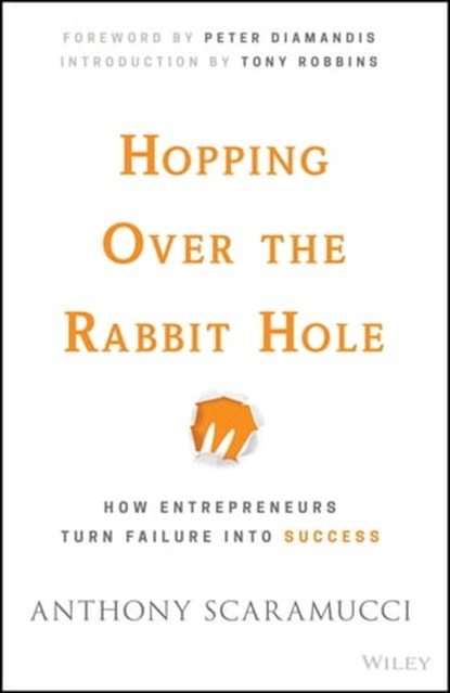 Hopping over the Rabbit Hole, Anthony Scaramucci - Ebook - 9781119153665