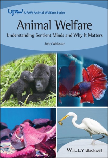 Animal Welfare, John (University of Bristol) Webster - Paperback - 9781119857068