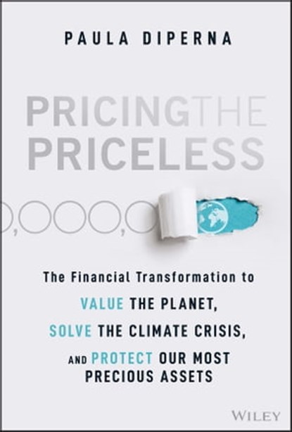Pricing the Priceless, Paula DiPerna - Ebook - 9781119913818