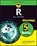 R All-in-One For Dummies, Joseph Schmuller - Paperback - 9781119983699