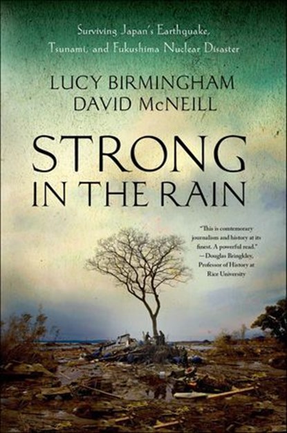 Strong in the Rain, Lucy Birmingham ; David McNeill - Ebook - 9781137050601