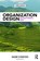 Organization Design, STANFORD,  Naomi - Paperback - 9781138293243