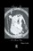 Sexual Life In Ancient Greece, Hans Licht - Paperback - 9781138981744