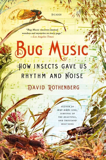 BUG MUSIC, David Rothenberg - Paperback - 9781250045058