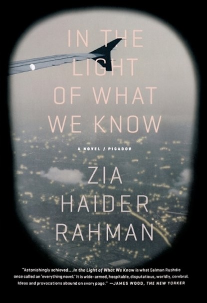 IN THE LIGHT OF WHAT WE KNOW, ZIA HAIDER RAHMAN - Paperback - 9781250062376