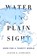 Water in Plain Sight, Judith D. Schwartz - Gebonden - 9781250069917