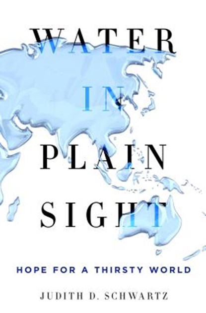 Water in Plain Sight, Judith D. Schwartz - Gebonden - 9781250069917