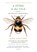 Sting in the Tale, Dave Goulson - Paperback - 9781250070975