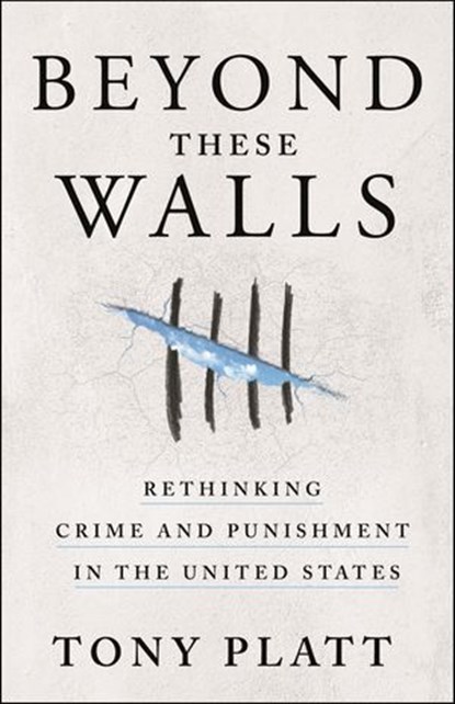 Beyond These Walls, Tony Platt - Ebook - 9781250085122