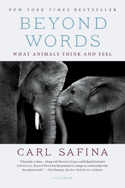 Beyond Words, Carl Safina - Paperback - 9781250094599