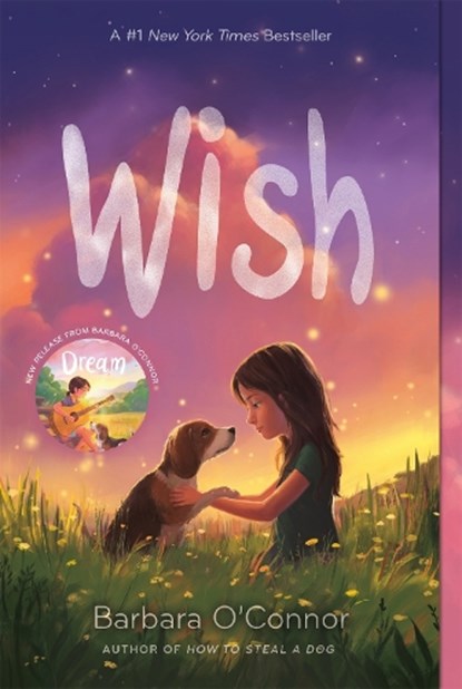 Wish, Barbara O'Connor - Paperback - 9781250144058