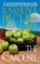THE CAROUSEL, Rosamunde Pilcher - Paperback - 9781250162304