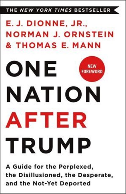 One Nation After Trump, Norman J. Ornstein ; Thomas E. Mann ; E.J. Dionne - Ebook - 9781250164063