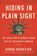 Hiding in Plain Sight, Sarah Kendzior - Gebonden - 9781250210715