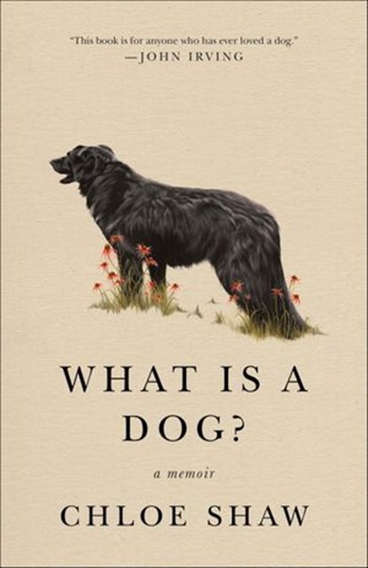 What Is a Dog?, Chloe Shaw - Ebook - 9781250210753