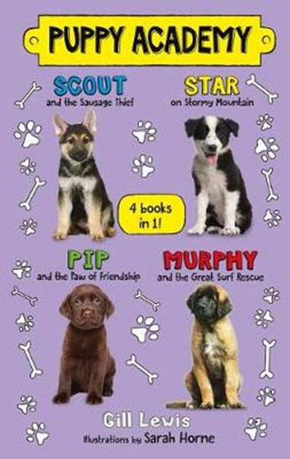 Puppy Academy, LEWIS,  Gill - Gebonden - 9781250217615
