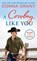 A Cowboy Like You, Donna Grant - Paperback - 9781250250049